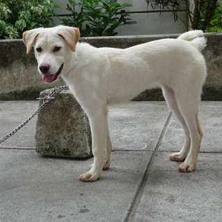 明るく元気な女の子