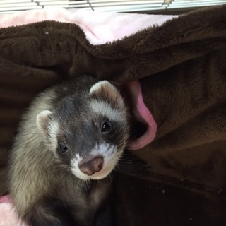 たくさんのご応募ありがとうございました♪