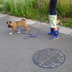 この子の兄弟姉妹　平成29年4月26日のこと