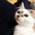 ふわふわの可愛い子