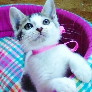 7/9銀座★ユリちゃん★忍者のような女の子