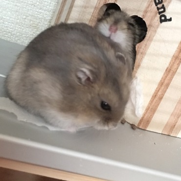 寝起きのうみ(前)と、寝ぼけてるそら(後)