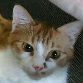 ジュノンボーイ！ちゃーちゃん