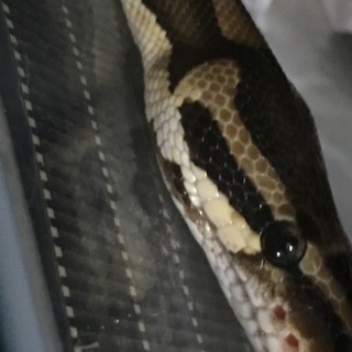 みなさま問い合わせありがとうございました！