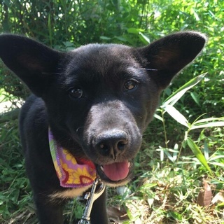 三カ月　女の子