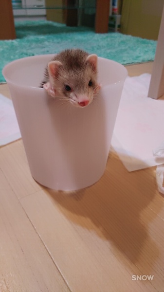 たくさんのご応募ありがとうございました♥ サムネイル2