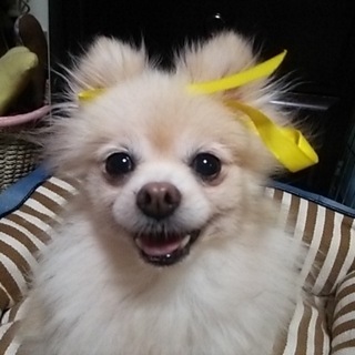 ありがとうございました。