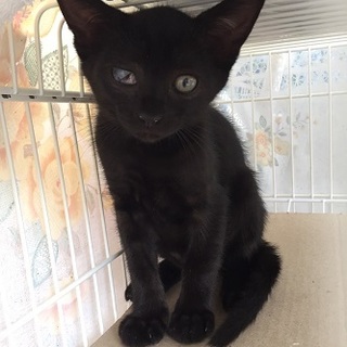 お家決まりました