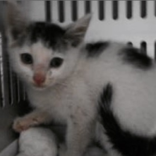 団体様の引き出しが決まりました。