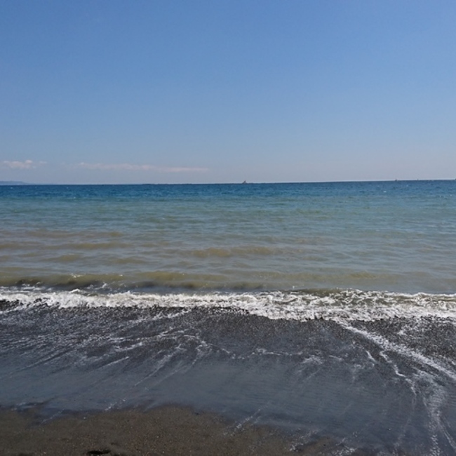 yellowtailのカバー写真