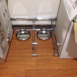 「多頭飼い猫用エサ取り防止柵DIY」サムネイル2