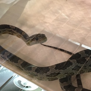 沢山のご応募ありがとうございました！