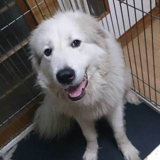 7月中!関西の方～