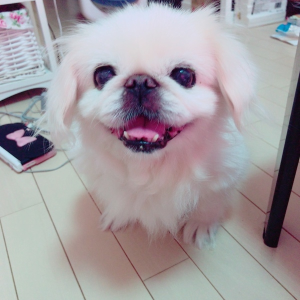 める