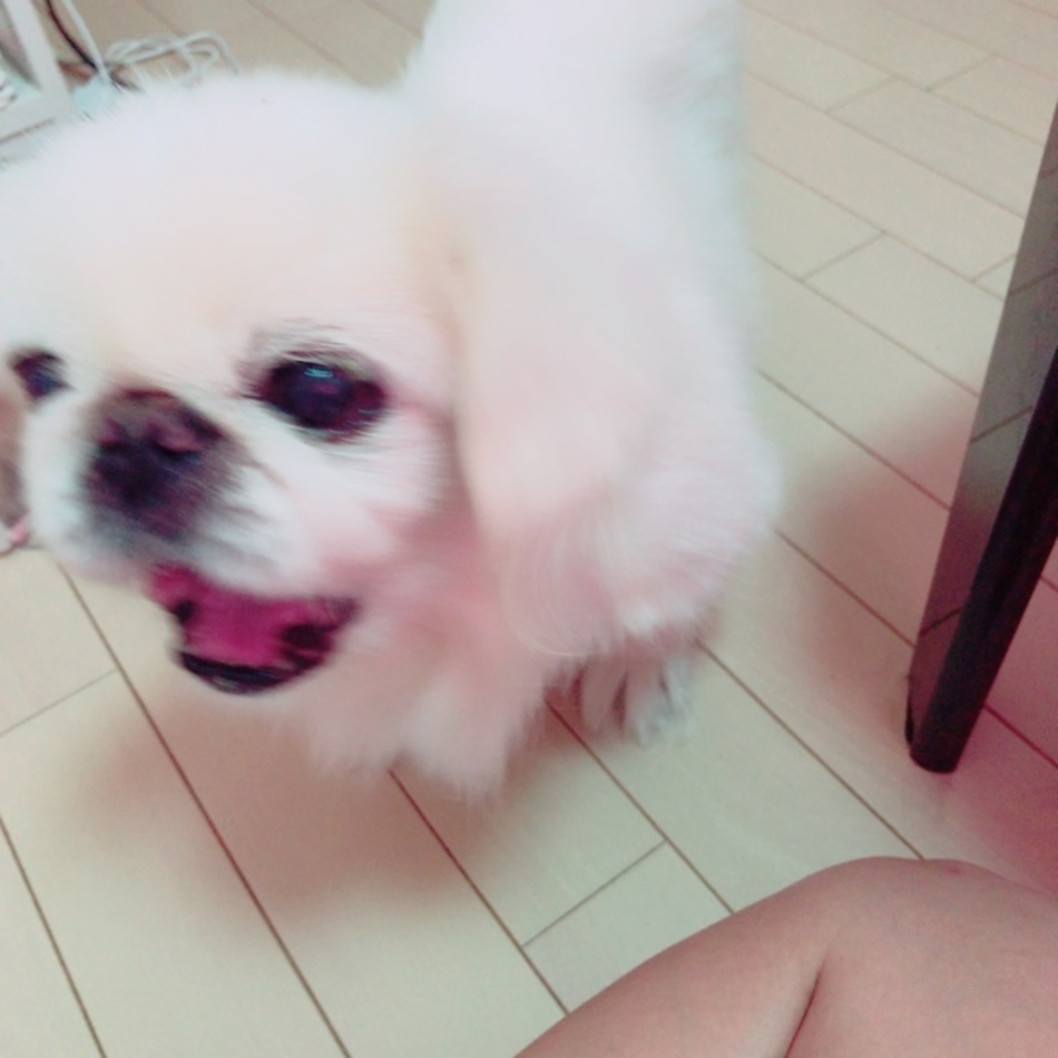 めるのカバー写真