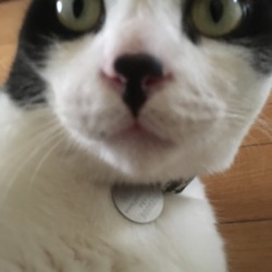 マーニ隣のエアコン工事にビビる