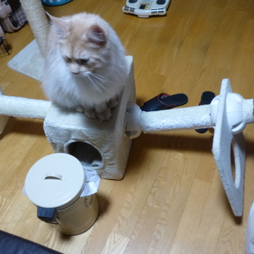 なんと言う事でしょう!（劇的BA風）