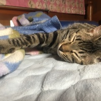 みーやん