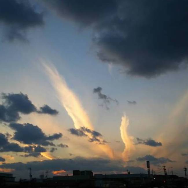 ちゃーちゃんのカバー写真