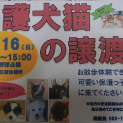保護犬・猫の譲渡会