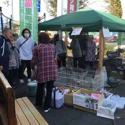 チャイハネマーケット サムネイル3