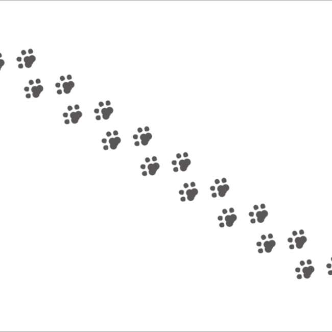 かなみパパのカバー写真