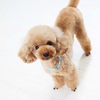 お問い合わせありがとうございました。