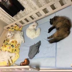 6/29 我が家にて