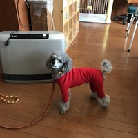 Tim