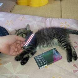 大きくなったなぁ