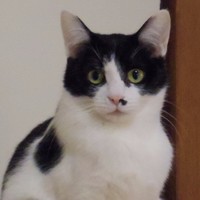 ほたる