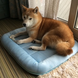 あれ～？やっぱ小さい？？(゜〇゜;)??