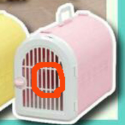 【猫】病院前で脱走！多発してます