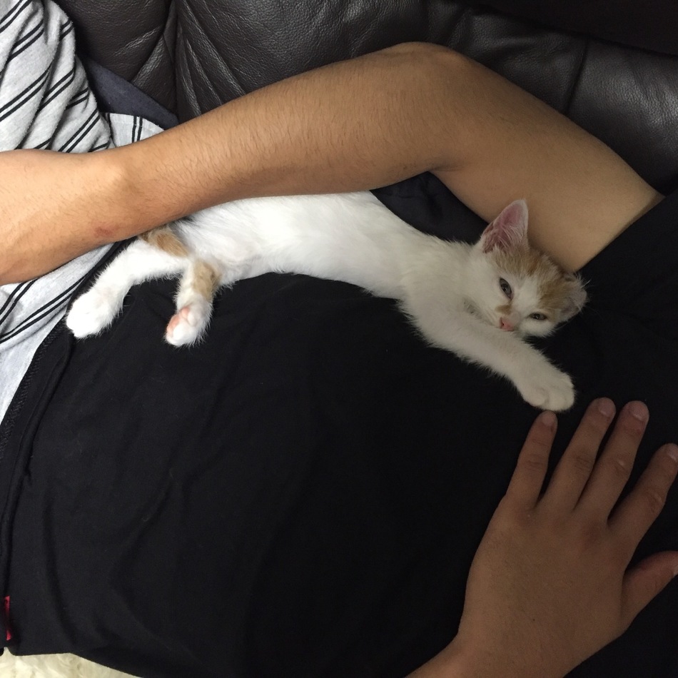 日向小太郎 ひゅうがこたろうのカバー写真