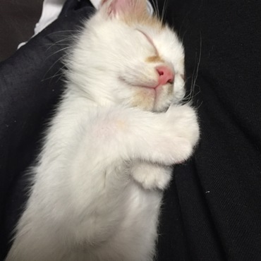 寝顔が無防備で可愛い