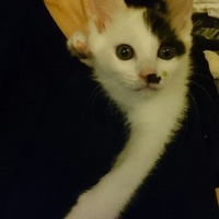 ドリー(仮名⇒新しいおうちへ)