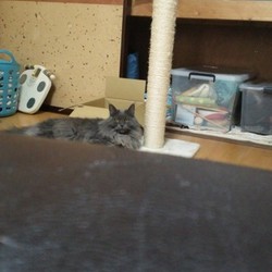 「優しいね」サムネイル1