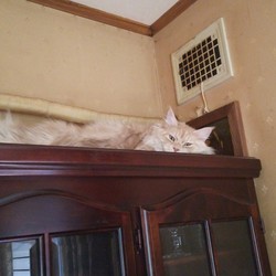 「優しいね」サムネイル2