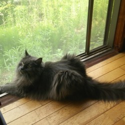 「優しいね」サムネイル3