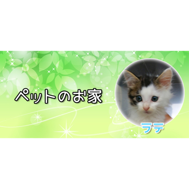 Mami0424のカバー写真