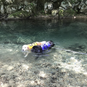 仲良くす〜いすいっと♪