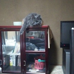 「読む価値もない駄文ですのであしからず。」サムネイル2