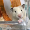 seinooo さん