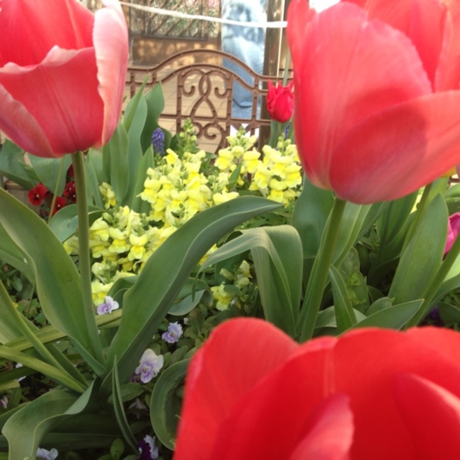 マルコトムのカバー写真