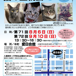 第71回 NPO法人おおさかねこネット　猫の里親会