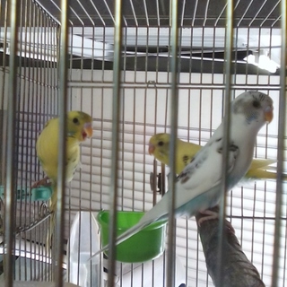 有難う御座いました