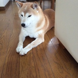 初めてのお泊まり(T.T)②