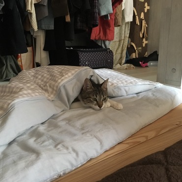 狭いところも好きだもん