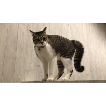 戦闘モードになると怖い(笑)