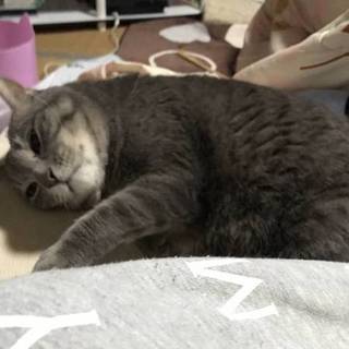 どうかこの子に幸せを